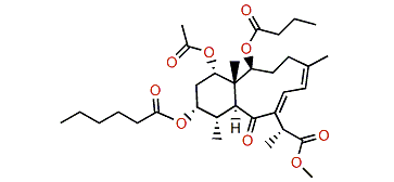 Briareolate ester M